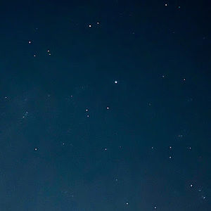 Meet your Posher, Audrey